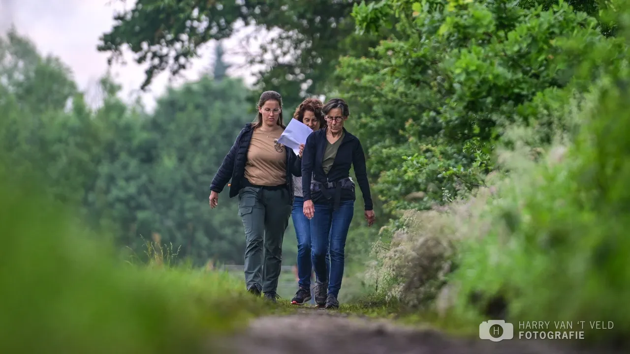 2024 05 25 veluwewandeltocht 5