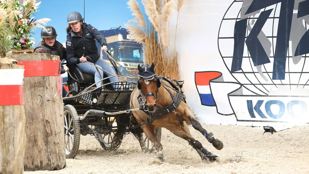 2025-11-07 menindoorr 17