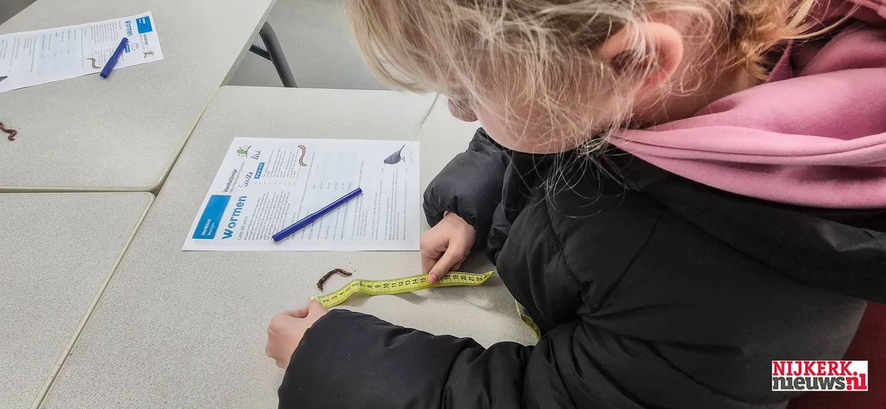 2025-11-19 boomplantdag-03