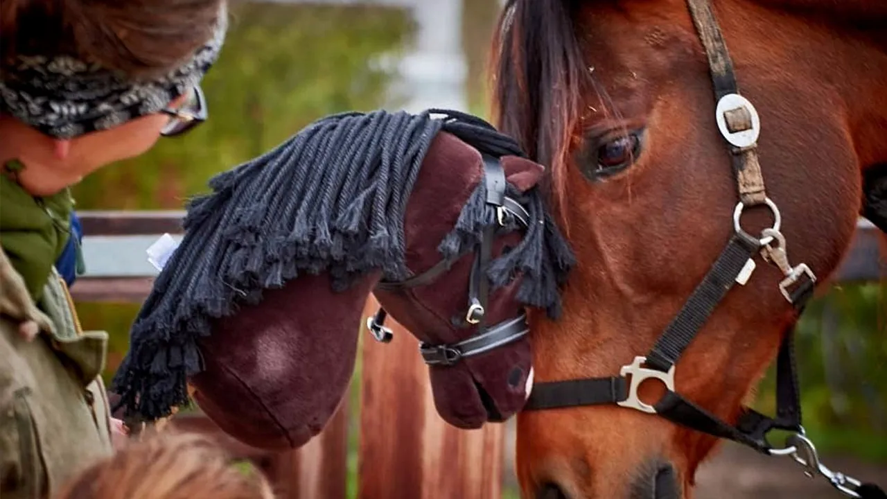 2026-02-11 ponykamp bouvries 1