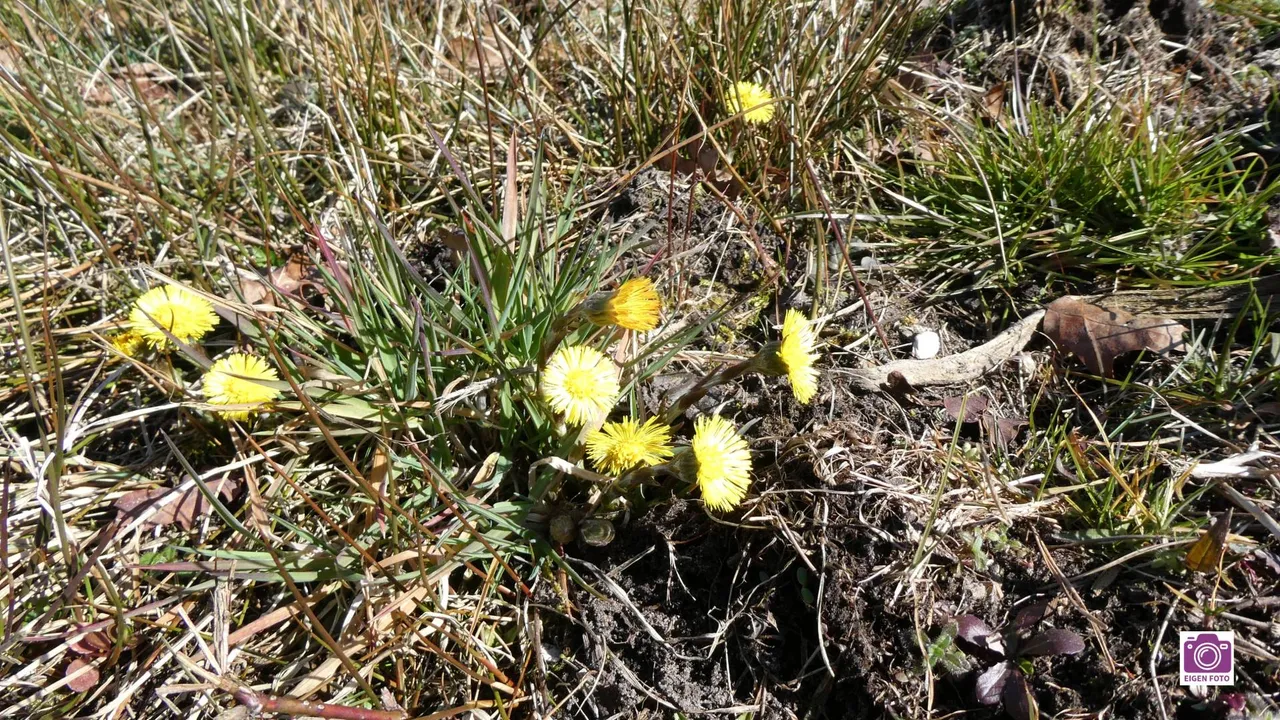 2026-02-25 ivn jeugd 2