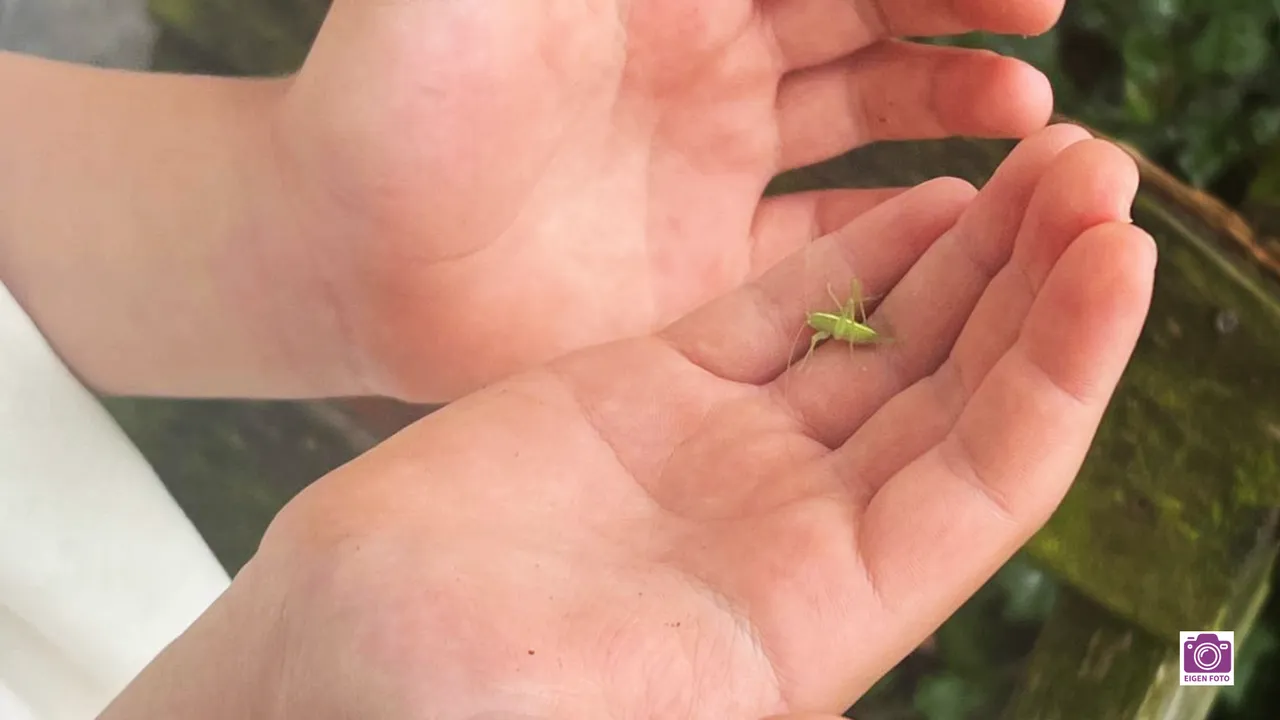 2026-02-25 ivn jeugd 5