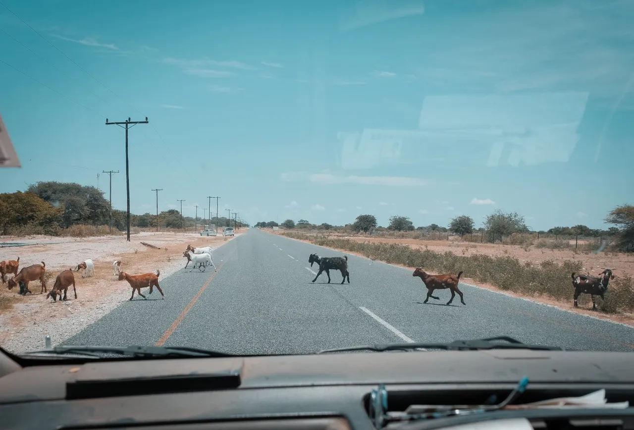 botswana 2