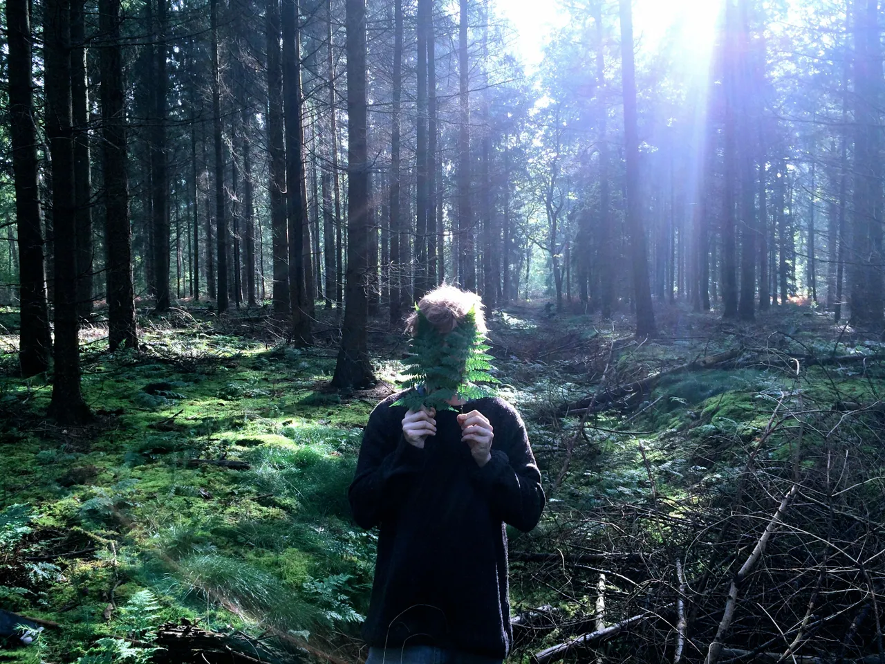 kopie van maartenvos press1 1