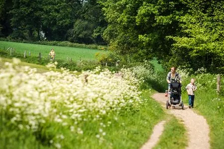 zevenheuvelenhike
