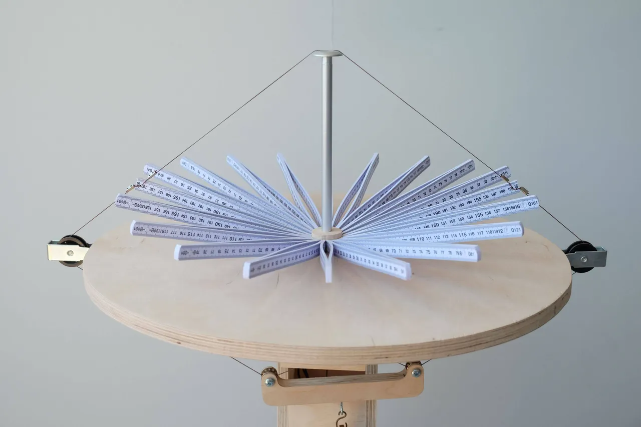 Yip Stals, Bloom (close up), 2025