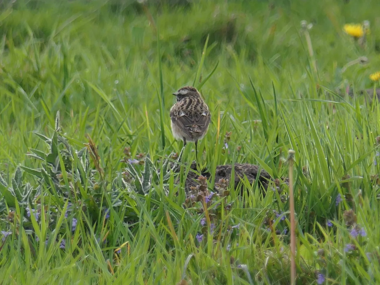 image121