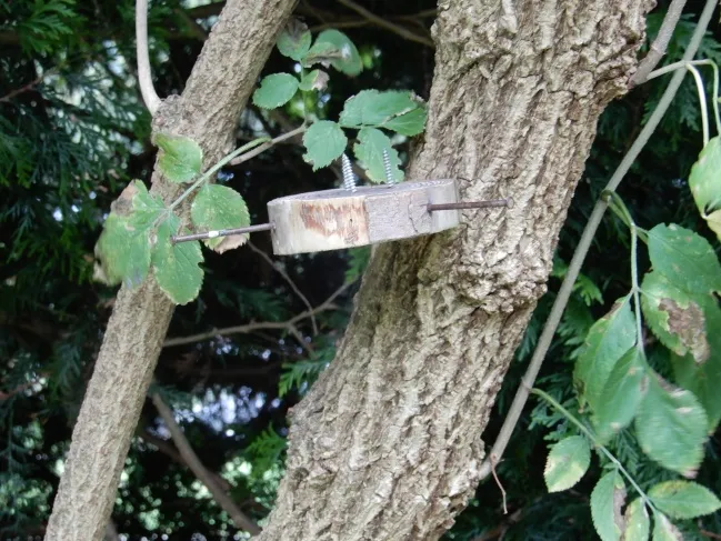 image13