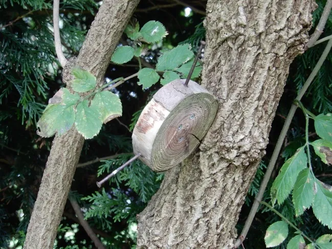 image14