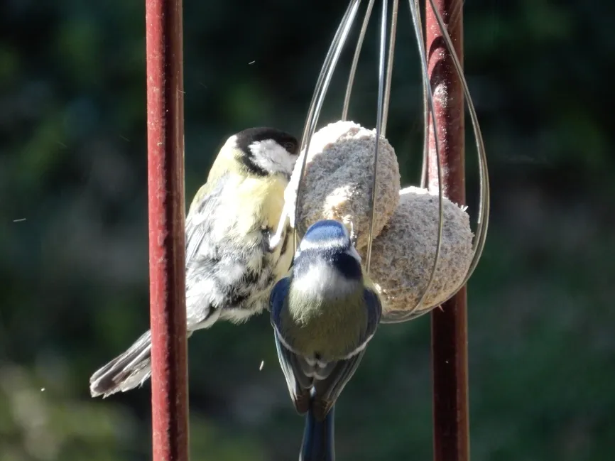 image91
