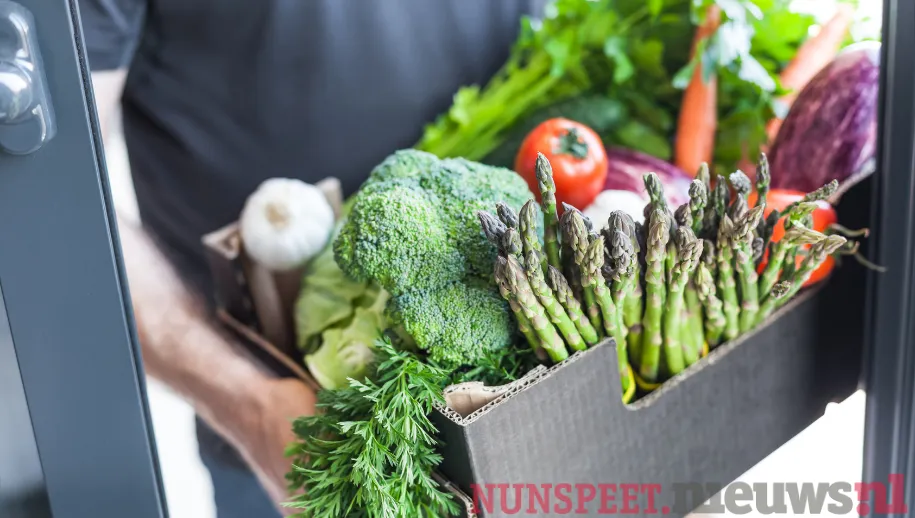 ontwerp zonder titel 14