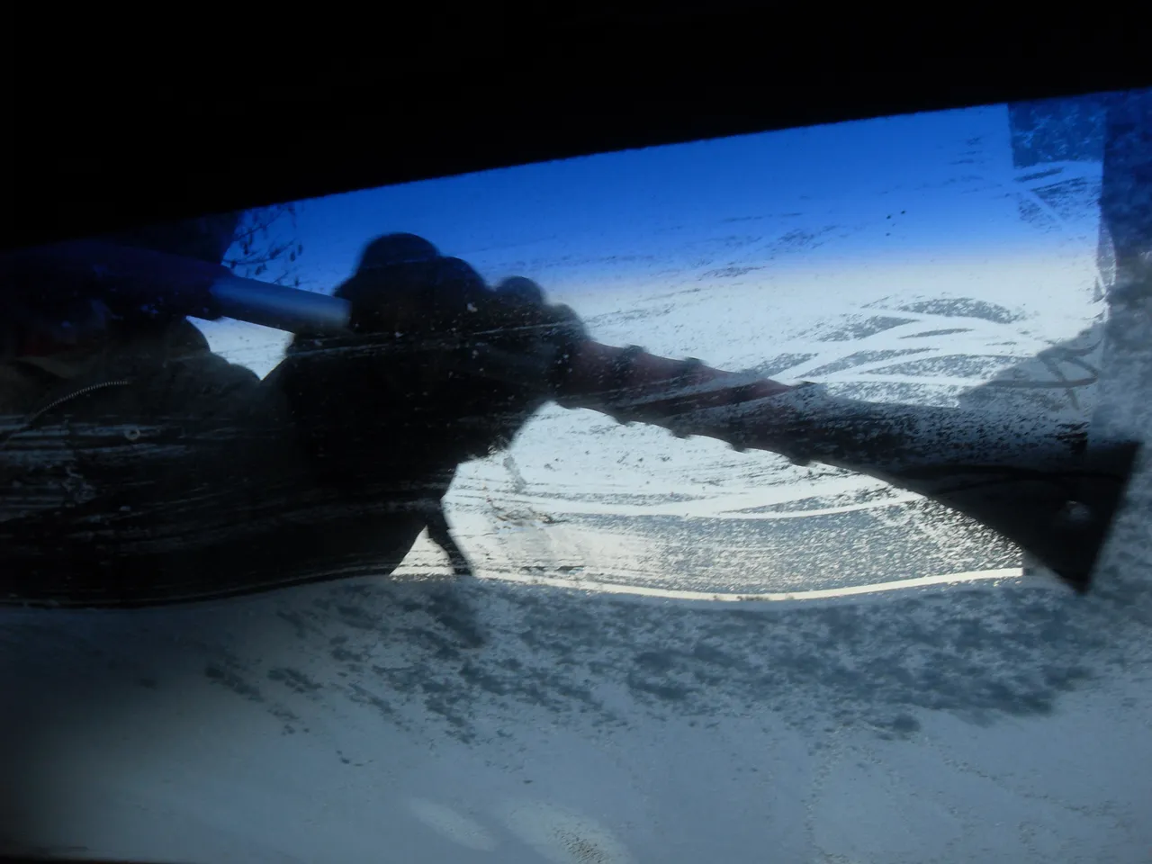 windshield 245281