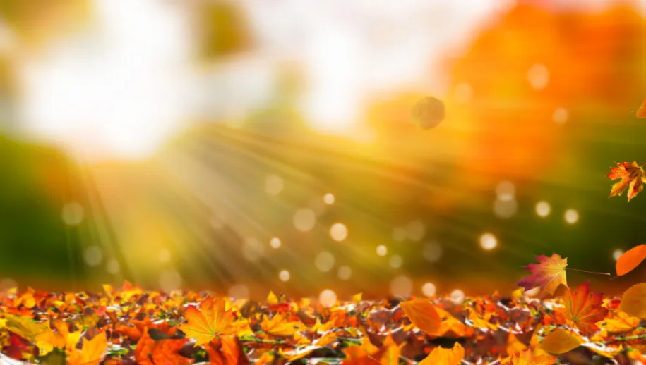 herfst