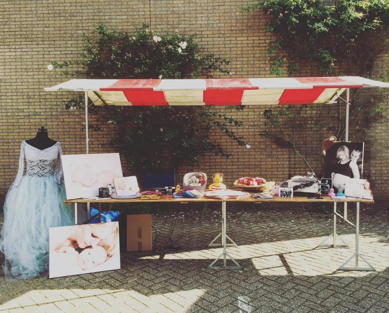 14625639 10211348883506060 776368905 o