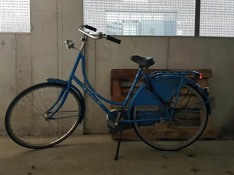 19148945 1586283898057041 2620675680646062629 n