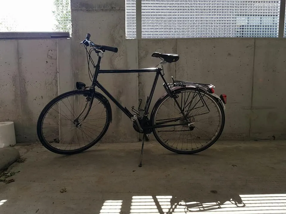 19149215 1586283818057049 1751770931519293217 n