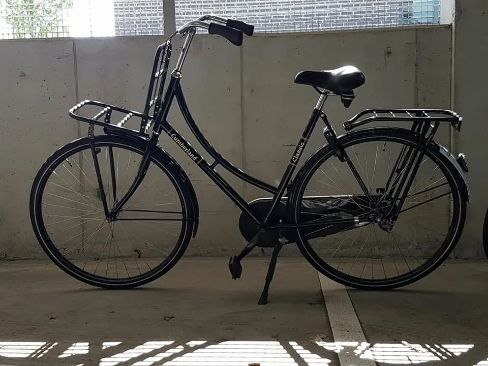 19224874 1586283851390379 1770779279059378812 n