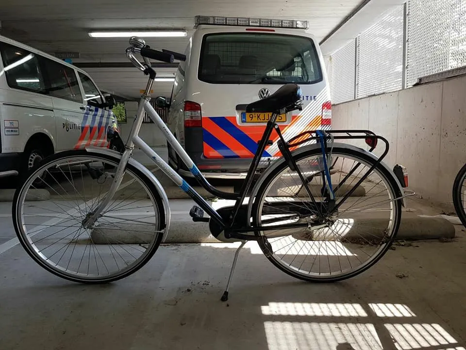 19225835 1586283921390372 8906283491910565066 n