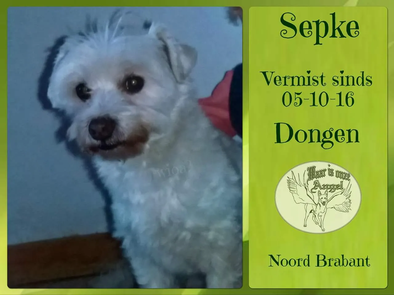 fb img 1476015146898