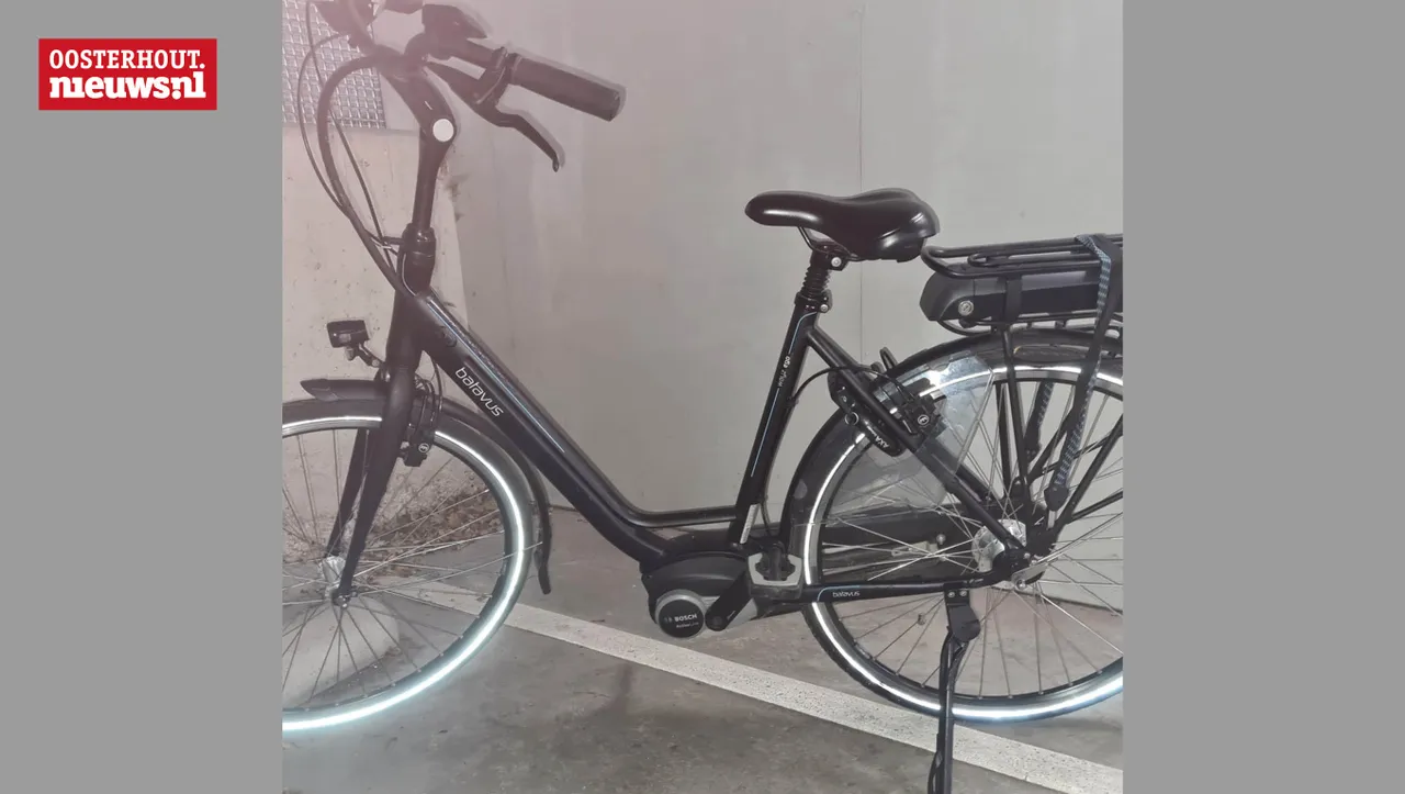 gestolen fiets6