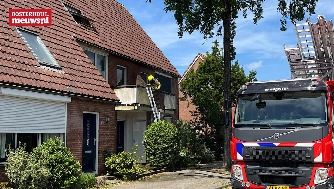 brand 1