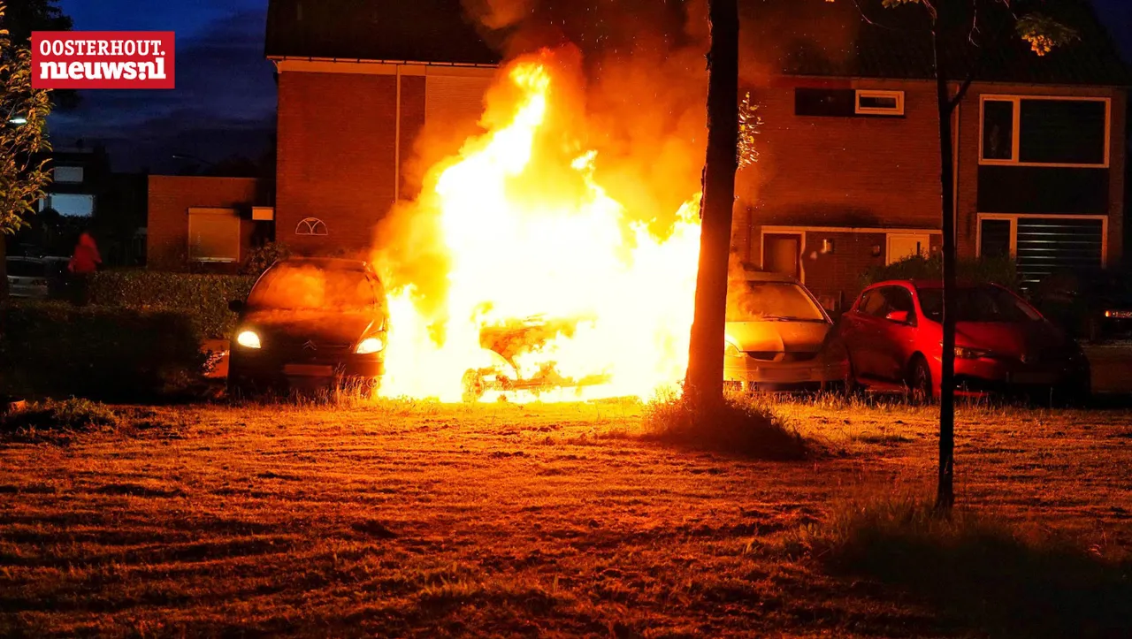 brand1 1
