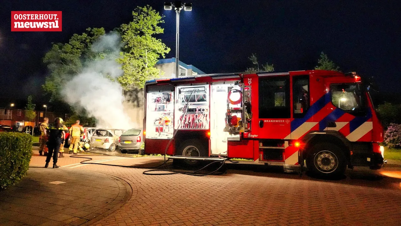 brand3 1