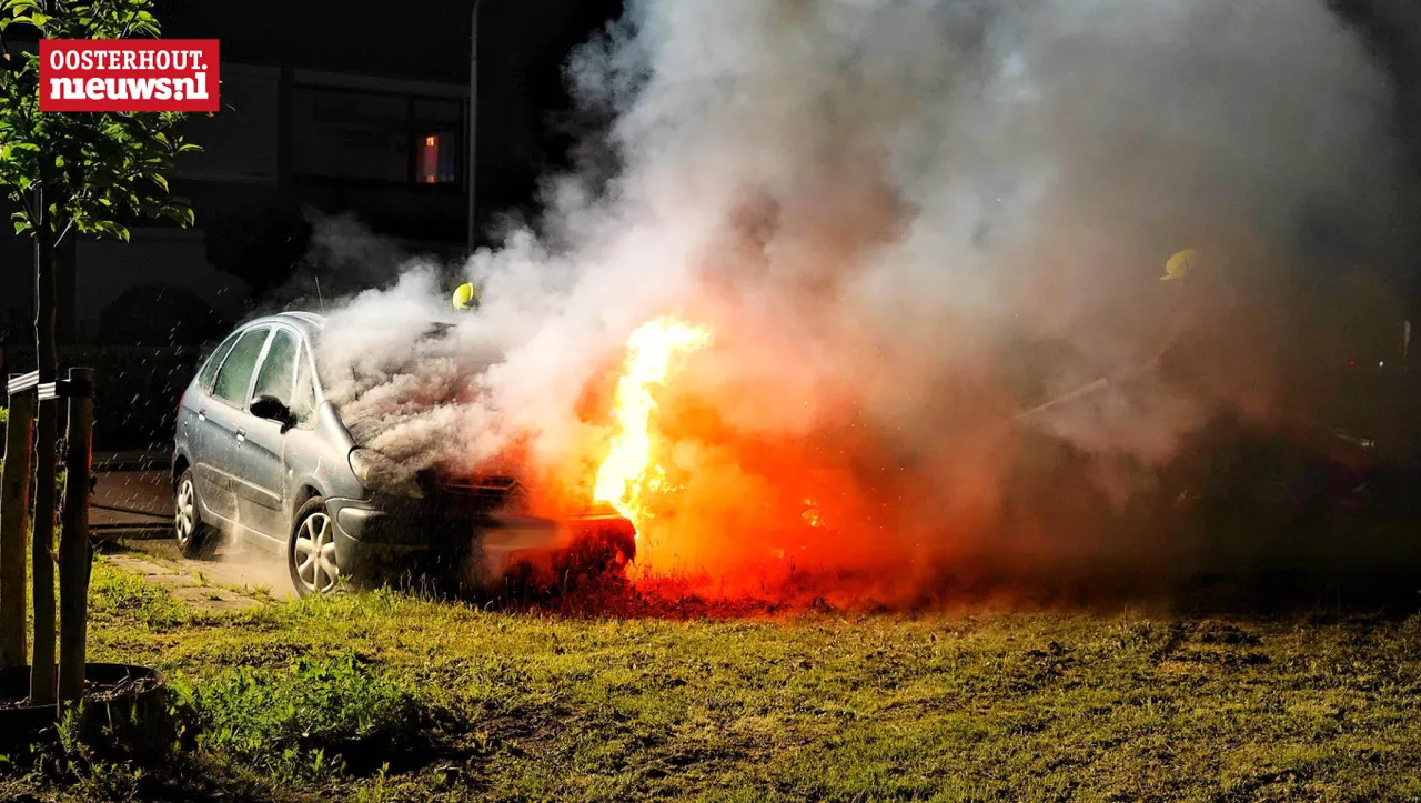 brand5 1