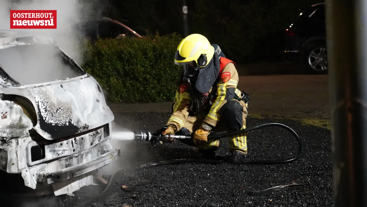 brand6