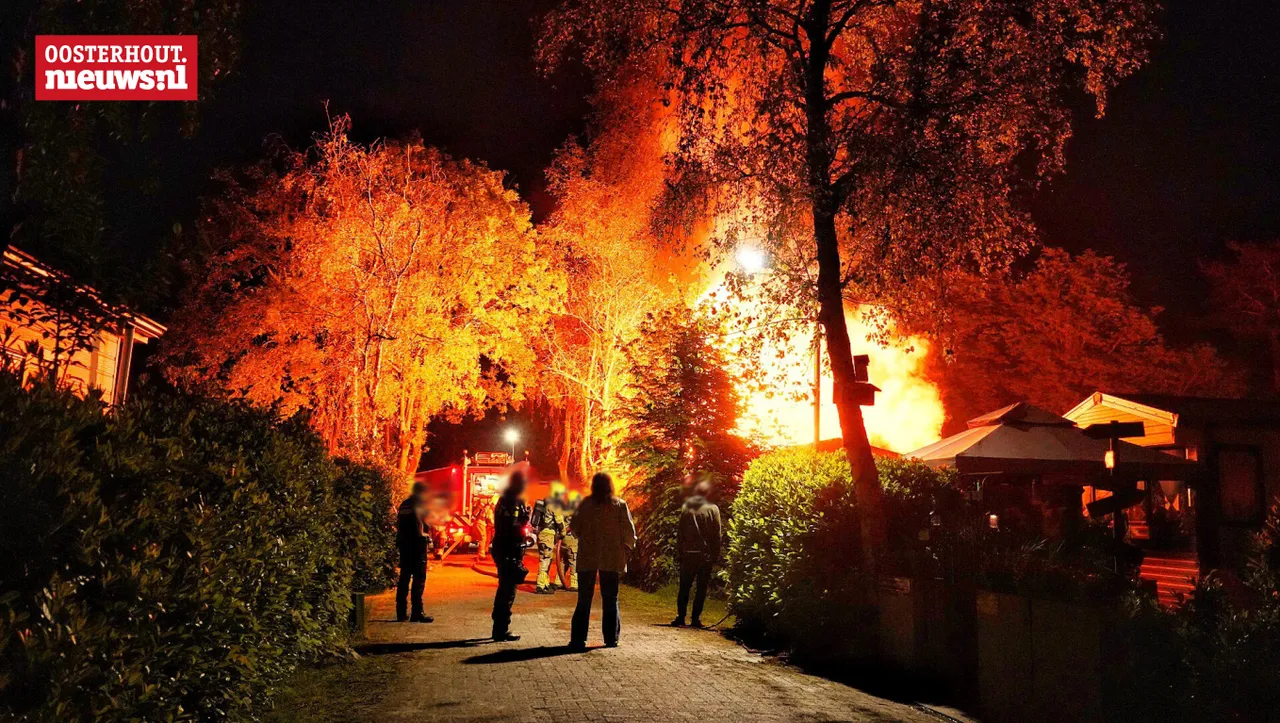 brand7 1