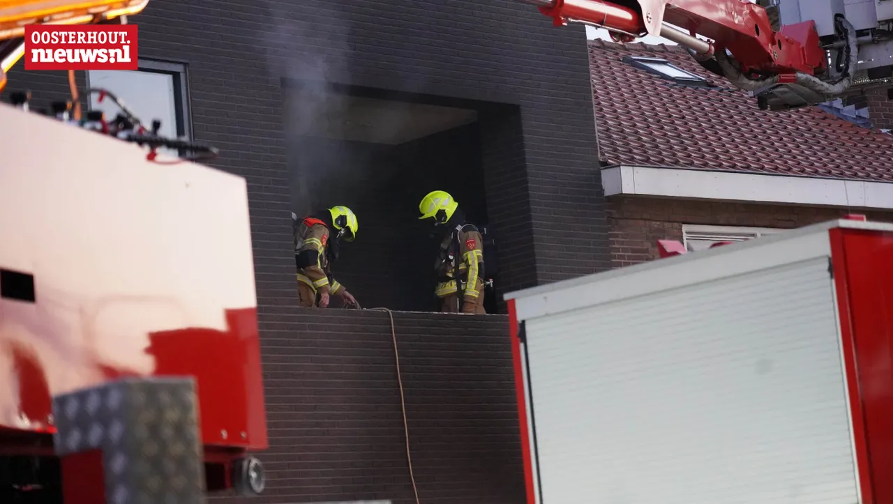 brand8
