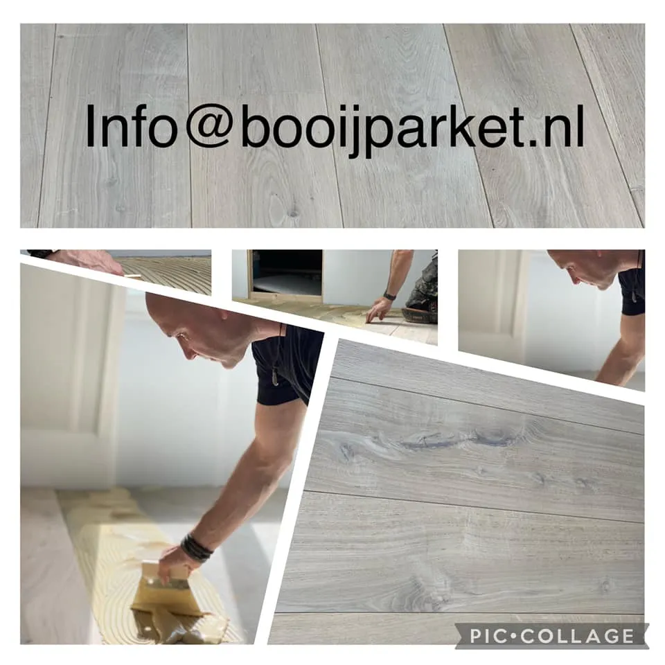 203155942 3990205357702017 2069637030024290734 n