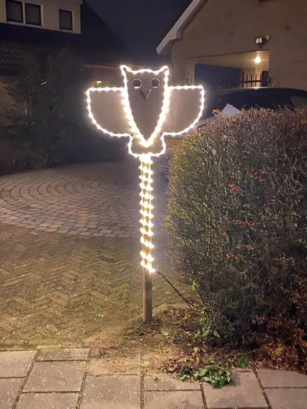 8dca8b20 2269 11ea 9641 27b4683862bd