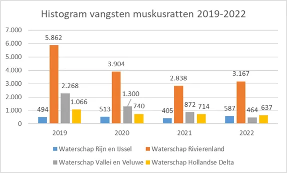 cijfers in beeld