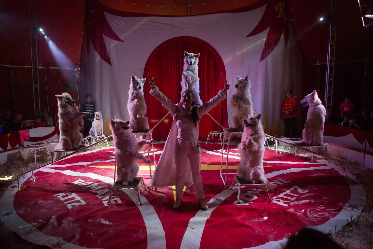 circus bolalou 03
