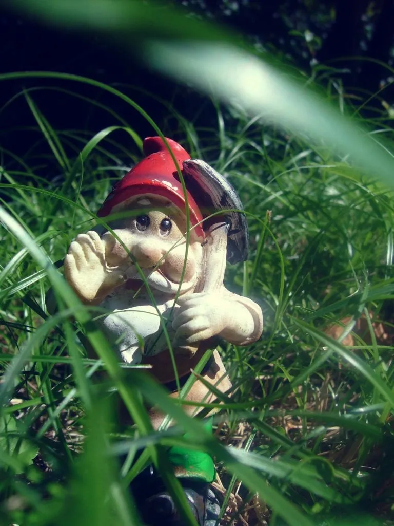 kabouterspeurtocht 1