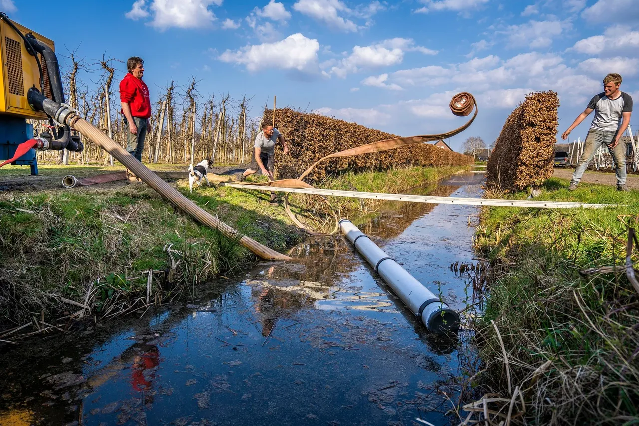 pavkerkavezaath1497 1