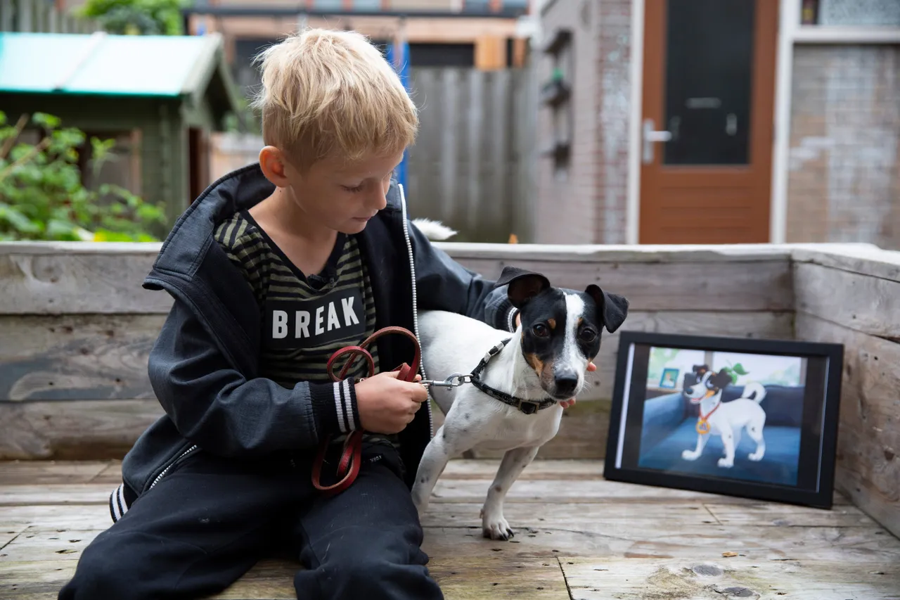 seff pip en de disneyfication