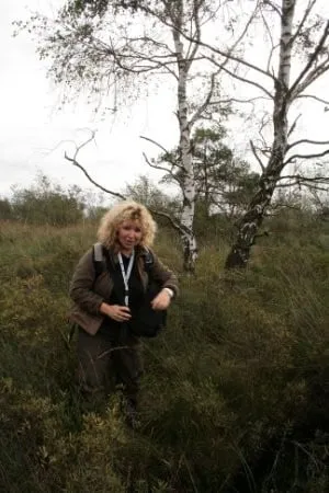 spinnen zoeken andrea