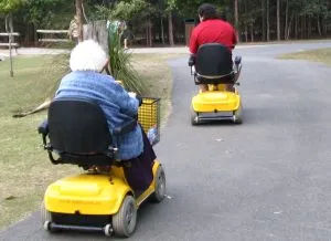mobility scooter zoo 300x218