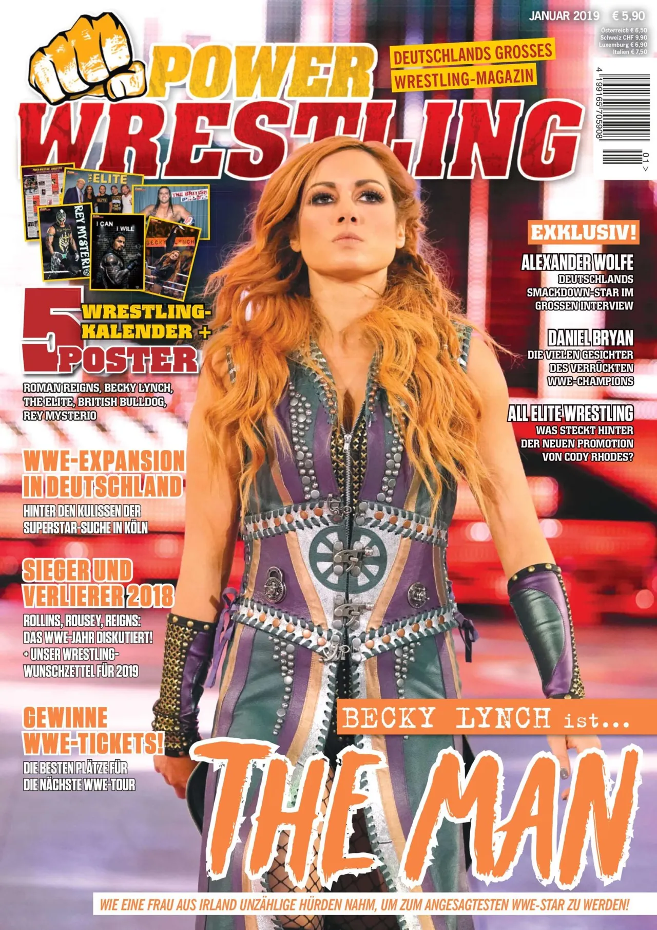 cover 119 klein