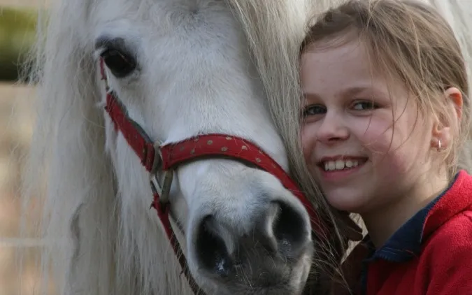 jeugd zweden paard