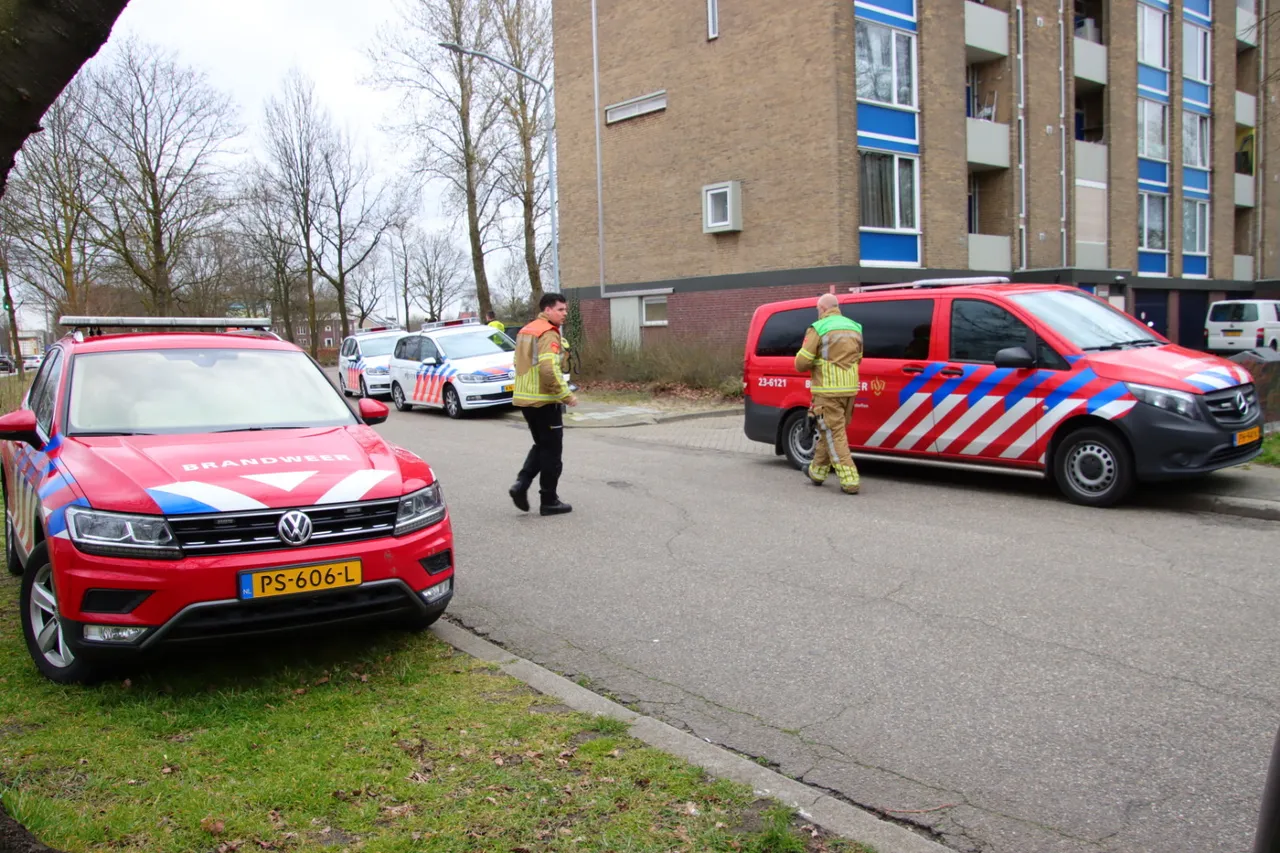 kbh2jyig