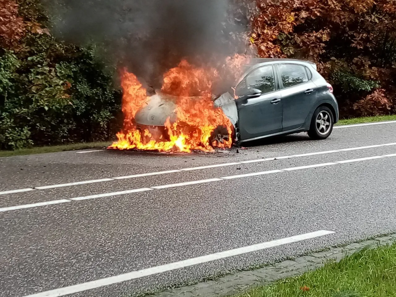 rx3dptb9