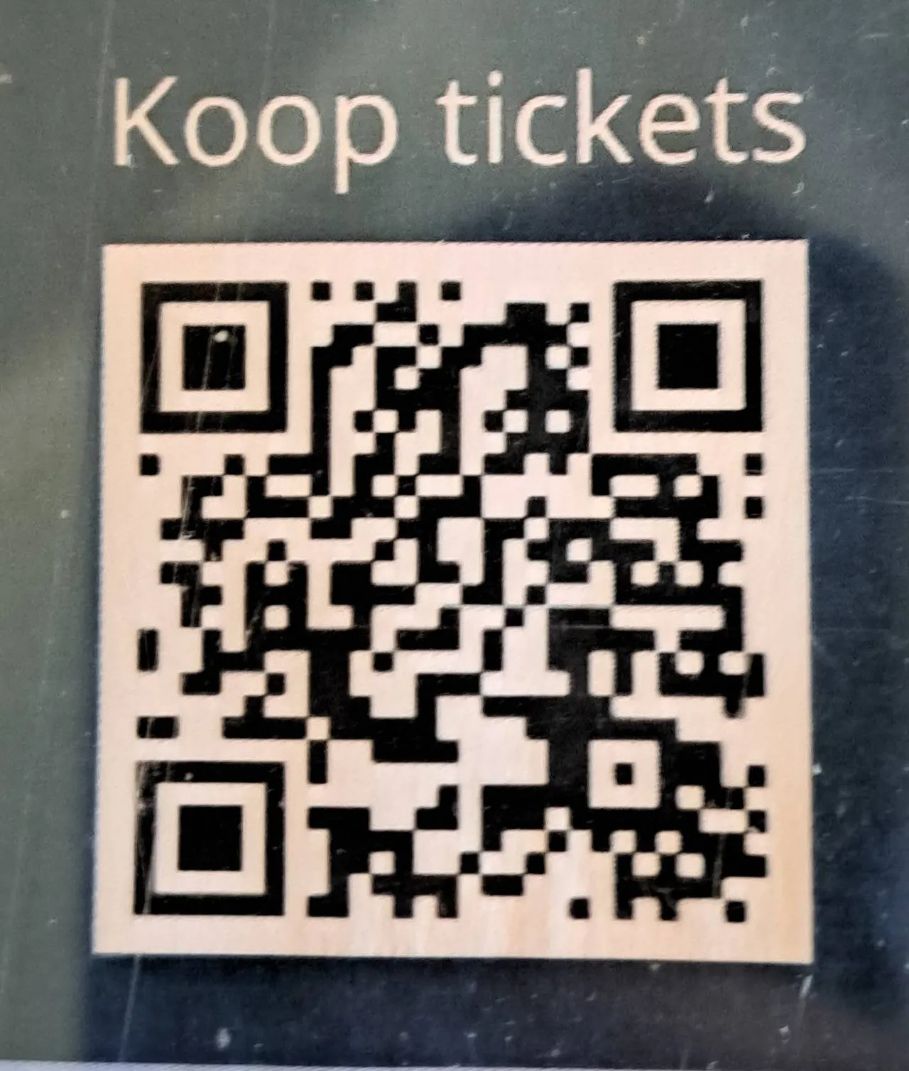 1000181528