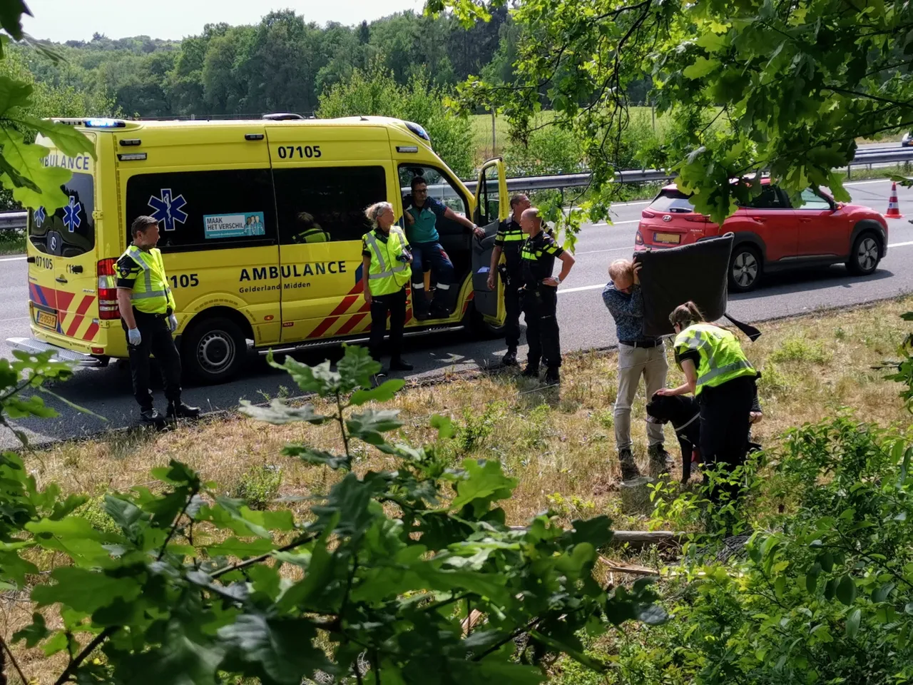 10 05 crash a50 hond