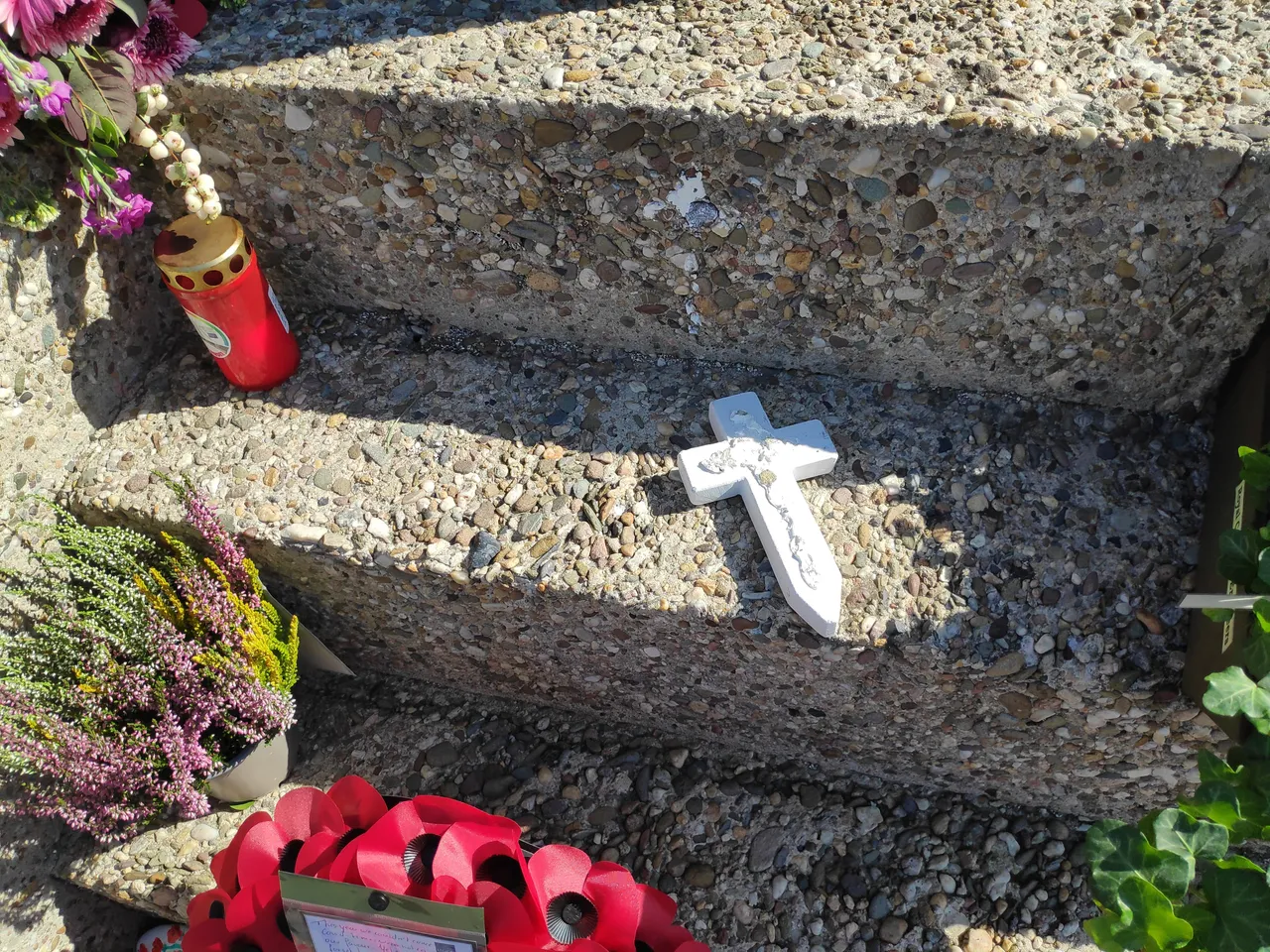 120061019 1076477439439377 8754303467899546393 n