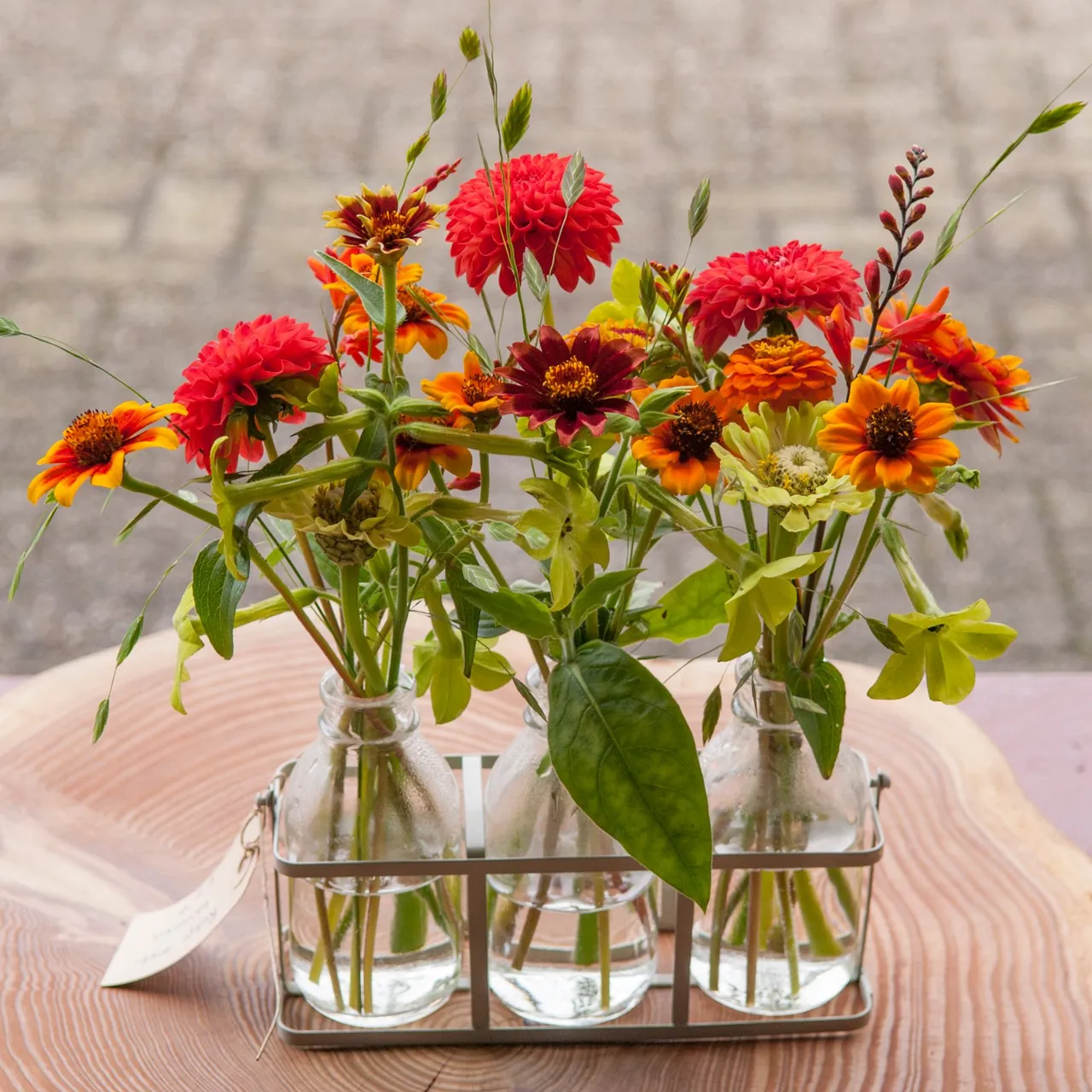 41 zomerbloemenfestijn 3 theo van liempt