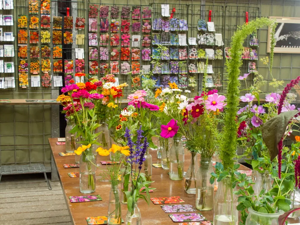 45 zomerbloemenfestijn img 4499