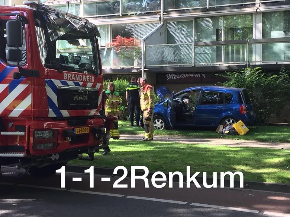 boom doorwerth 2
